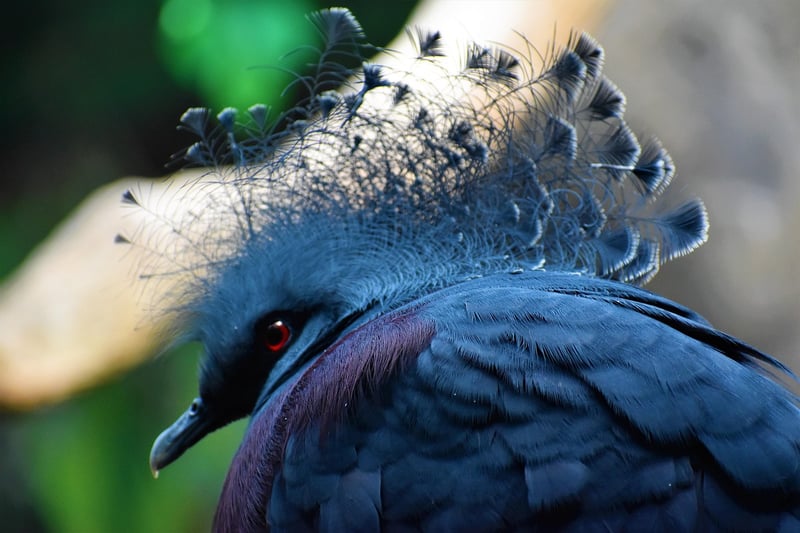 Unique creations