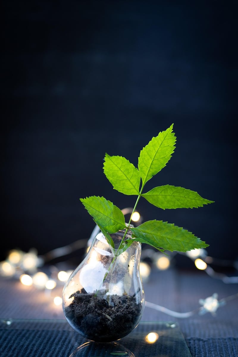 Upcycled Gifts